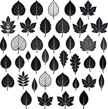 Linocut leaf vector collection featuring black and white rustic botanical stamp silhouettes ideal for autumn woodcut design elements isolated on white background.