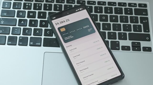 Managing Business Finances and Checking Account Balance via Mobile Banking Interface