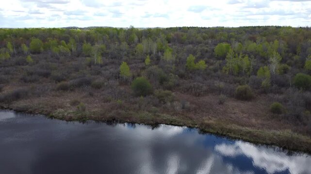 Aerial view of a calm lake shore bordering a dense spring forest with budding green trees, cinematic drone flight over a peaceful riverside landscape under a cloudy sky, high angle shot of wilderness 