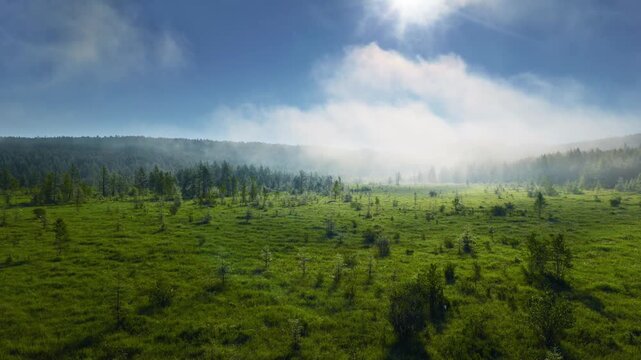 Cloudy Mist Over Green Grassland and Forest