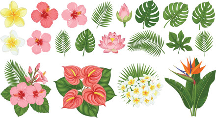Tropical Flower and Leaf Collection Vector Set Featuring Hibiscus Palm Monstera Lotus and Exotic Botanical Elements © Trefala