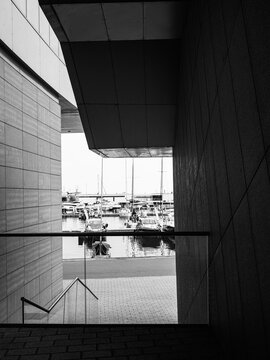 Black &white marina