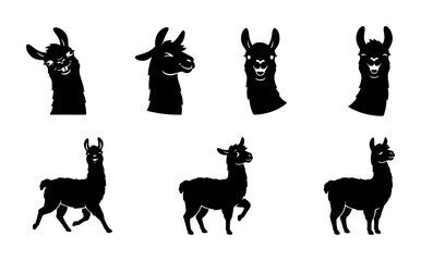 Llama Vector Icons Set, Cute Alpaca Silhouettes Collection, South American Camelid Graphics, Animal Head and Full Body Poses, Black and White Graphic Resources © Rakib