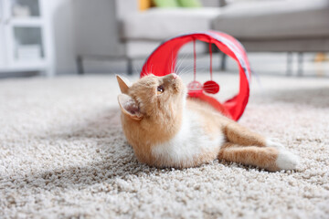 Fototapeta premium Cute cat in toy tunnel on carpet at home, space for text