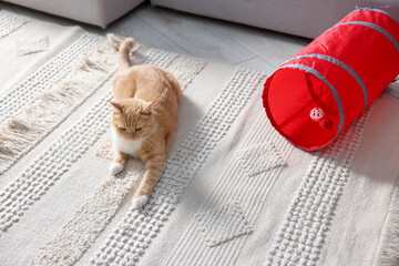 Fototapeta premium Cute cat resting on carpet and toy tunnel at home, above view