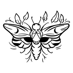 Obraz premium Moth with leaf accents