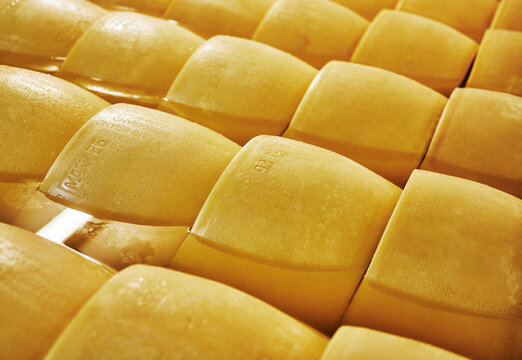Parmigiano Reggiano cheese aging in large baths to absorb salt, typically lasting 20 to 25 days, Parma, Italy, Europe