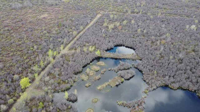 Aerial view of a narrow dirt road leading to a complex network of ponds and wetlands in a spring forest, cinematic drone flight over a rural trail and blue water with sky reflections, bird's eye view 