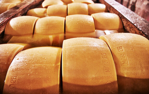Parmigiano Reggiano cheese aging in large baths to absorb salt, typically lasting 20 to 25 days, Parma, Italy, Europe