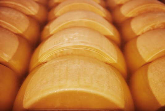Parmigiano Reggiano cheese aging in large baths to absorb salt, typically lasting 20 to 25 days, Parma, Italy, Europe