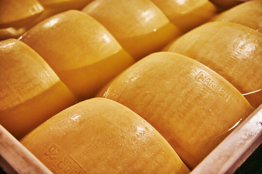 Parmigiano Reggiano cheese aging in large baths to absorb salt, typically lasting 20 to 25 days, Parma, Italy, Europe