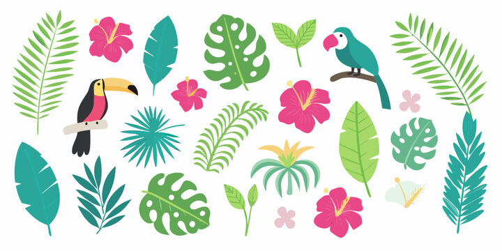 tropical leaves and birds flat vector illustration on white background