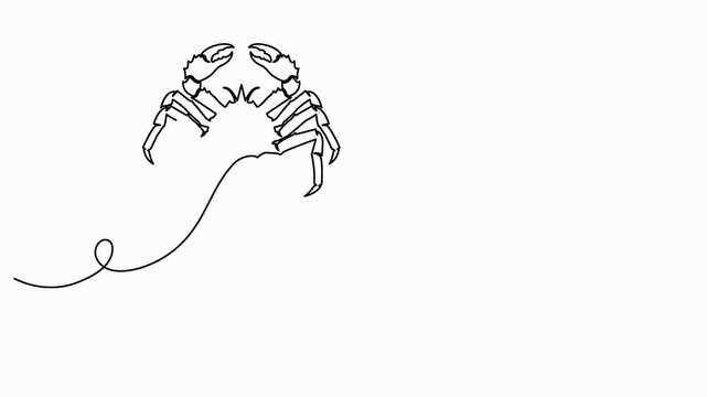 King crab anchor continuous one line drawing minimalist nautical vector animation