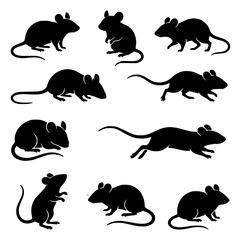 Fototapeta premium Black computer mouse vector silhouette icon