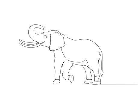 Elephant continuous line. Continuous one line drawing of elephant. Big animal concept. Single line drawing