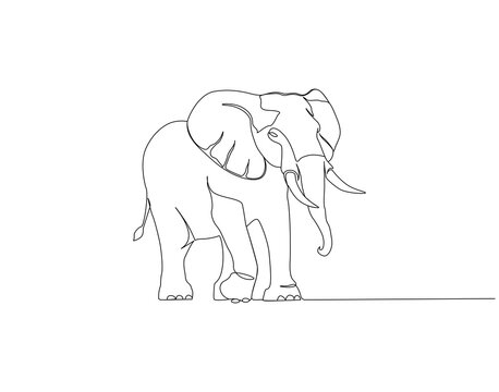 Elephant continuous line. Continuous one line drawing of elephant. Big animal concept. Single line drawing