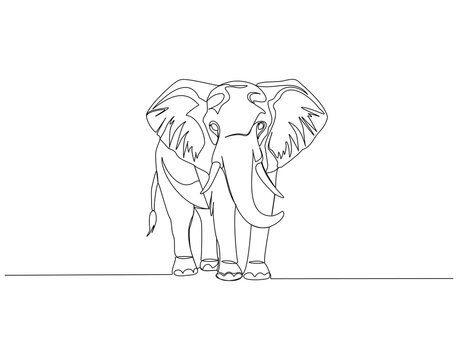 Elephant continuous line. Continuous one line drawing of elephant. Big animal concept. Single line drawing