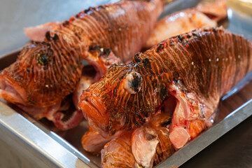 Close-up of fresh lionfish (Pterois) prepared for cooking on a metal tray.  © Vladyslav