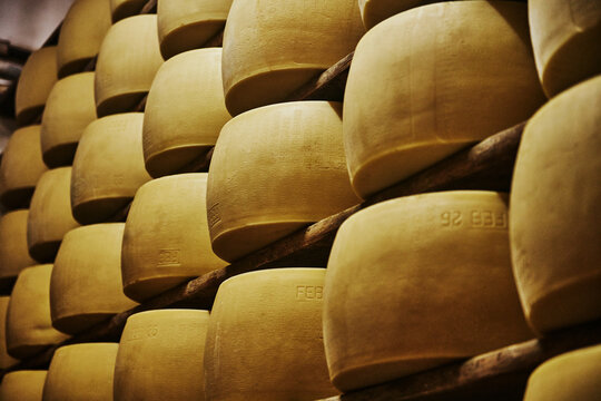 Wheels of Parmigiano Reggiano cheese aging on wooden shelves in an Italian maturation room, Parma, Italy, Europe