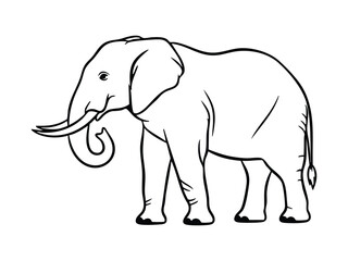 Obraz premium Black and white line art illustration of an elephant standing in profile with tusks and curled trunk, depicting a majestic wild animal.