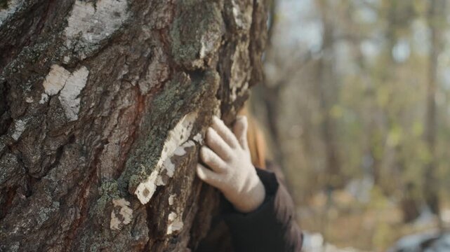 White woman peeking around tree, quiet birch wood with scattered snow and autumn light, knit scarf mask and sunglasses, gloved hand on trunk, snatcher scouting path with ambush vibe, surveillance