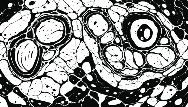 Abstract Black White Organic Cellular Microbiology Background Pattern