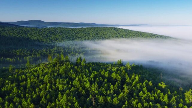 Clear Sky Over Foggy Forest Valley with Mountains
