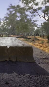 A large block is placed on a dirt road in a rural area. There are trees and shrubs surrounding the road. The scene shows clear weather and daylight.