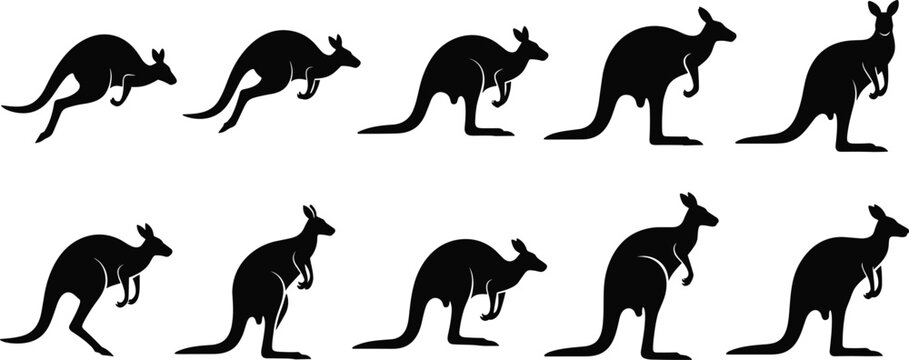 Black kangaroo silhouette icon set showing jumping motion, wildlife animal, Australia symbol, marsupial design, movement concept, isolated vector illustration.