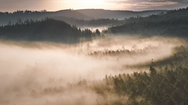 Morning Mist Shrouds Forested Mountain Valley