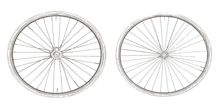 Vintage hand drawn sketch of bicycle wheels with detailed spokes isolated on white background vector illustration.