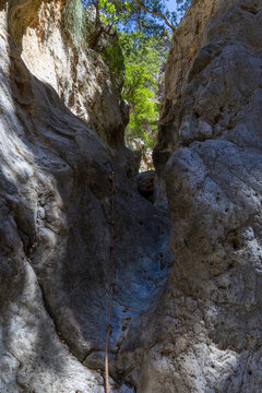 Scenic hiking route inside a deep rocky gorge with green trees above