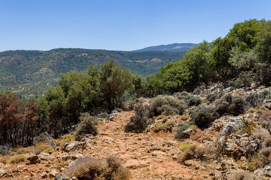 Hiking along the historic Old Minoan road near Kritsa Gorge in Crete, Greece