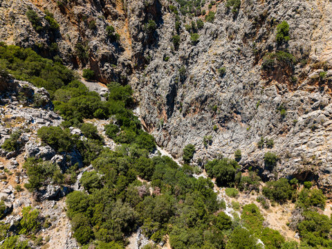 Scenic landscape of a deep rocky ravine with summer vegetation and no people