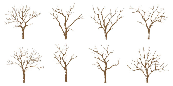 Set of hand drawn bare tree silhouettes with dry branches for autumn or winter nature vector illustration.