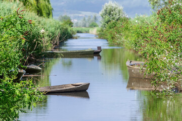 Fototapeta premium Traditional wooden boats from the Fucecchio Marshes are moored in Casin del Lillo, Pistoia, Italy