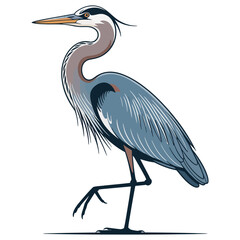 Naklejka premium great blue heron ardea cinerea