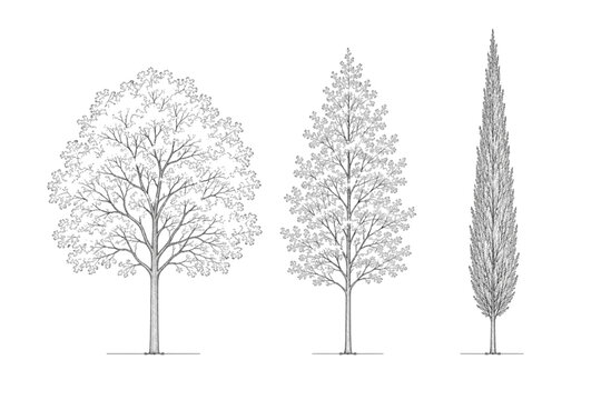 Versatile CAD blueprint elements Diverse botanical outlines and tree silhouettes for architectural design, landscape planning, and digital project visualization