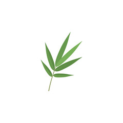 Fototapeta premium Green Bamboo Leaves Vector Illustration, Tropical Foliage Isolated on White Background, Minimalist Botanical Element for Asian Design, Zen, Nature, and Spa Graphic Art Projects