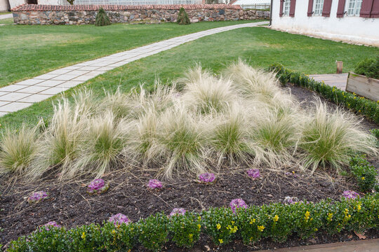 Nurmuiza Manor Garden with Ornamental Grasses and Stone Path