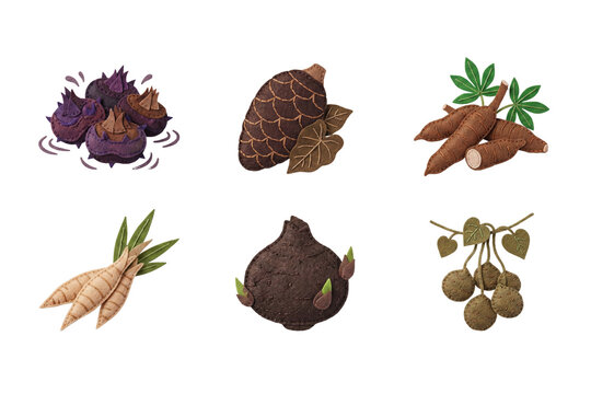 3D render set of fresh asian root vegetable icons in soft felt style featuring water caltrop, elephant foot yam, cassava, arrowroot, taro, and air potato