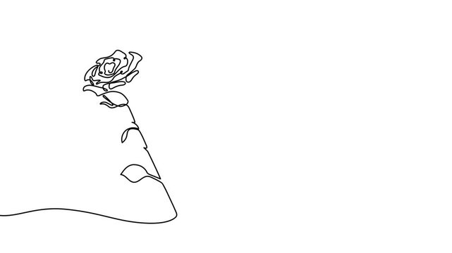 Continuous line flower illustration with elegant petals and leaves. Modern botanical sketch perfect for romantic invitations, decorative frames, Valentine's Day cards, and abstract backgrounds.