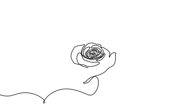 Continuous line flower illustration with elegant petals and leaves. Modern botanical sketch perfect for romantic invitations, decorative frames, Valentine's Day cards, and abstract backgrounds.