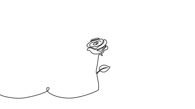 Continuous line flower illustration with elegant petals and leaves. Modern botanical sketch perfect for romantic invitations, decorative frames, Valentine's Day cards, and abstract backgrounds.
