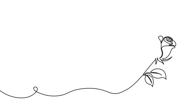 Continuous line flower illustration with elegant petals and leaves. Modern botanical sketch perfect for romantic invitations, decorative frames, Valentine's Day cards, and abstract backgrounds.