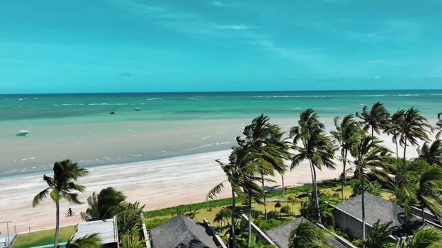 A high-angle aerial shot shows the pristine beauty of the resort, with rows of lush coconut trees swaying in the strong wind along the expansive white sandy beach.