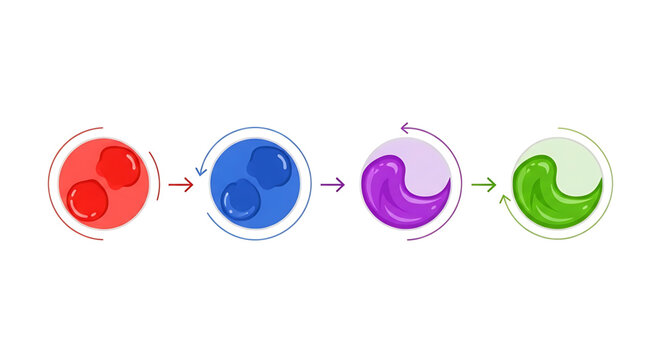 Abstract transformation process with colorful liquid shapes and circular arrows