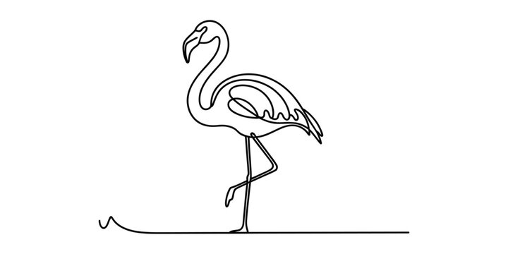 Minimalist continuous line drawing of a flamingo standing on one leg, simple black outline on a white background Vector, illustration