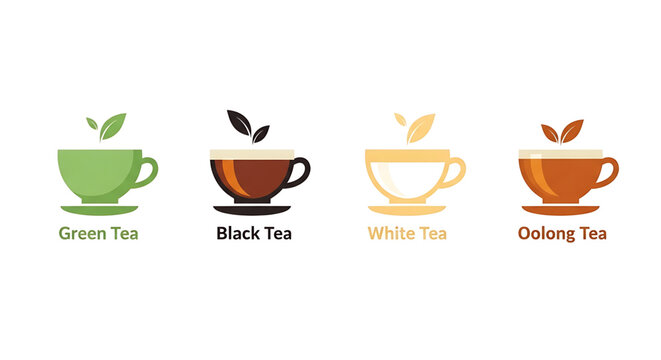 Set of tea cups with different types of tea, green, black, white and oolong tea, vector illustration