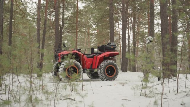 Red atv parked in snowy pine forest, stationary allterrain machine rests among slender trunks and frosty ground, wide knobby tires and heavy suspension visible, muted winter light creates calm outdoor